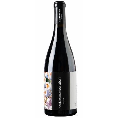 Alto Moncayo Veraton 2021 image 0