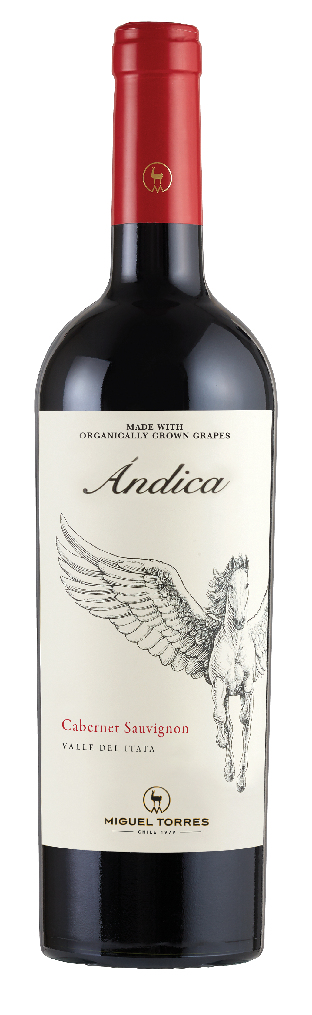 Miguel Torres Andica Itata Valley Chile Cabernet 2023