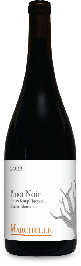 Marchelle Van der Kamp Pinot Noir 2022