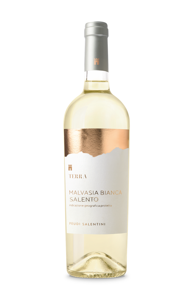 Feudi Salentini Terra Malvasia Bianca Del Salento 2022 image 0