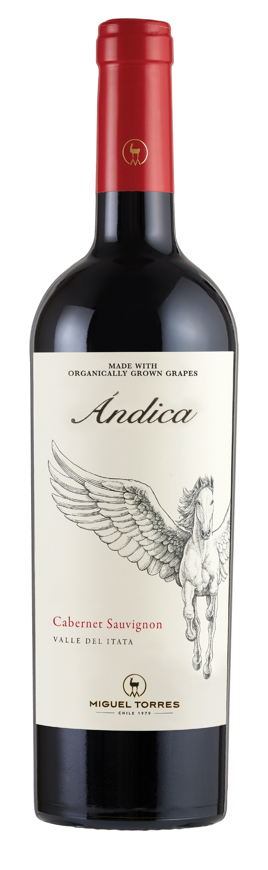 Miguel Torres Andica Itata Valley Chile Cabernet 2023