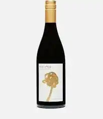 The Vice The House Los Carneros Napa Valley Pinot Noir 2022